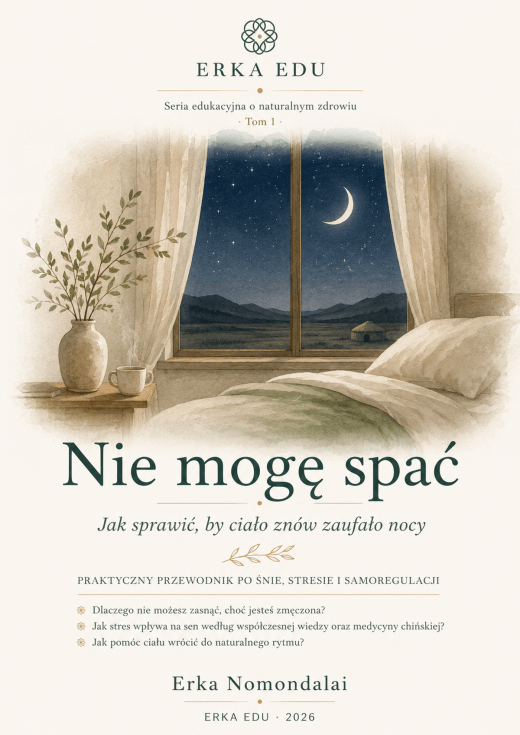 Nie mogę spać — okładka